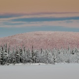 Jeris week 45 12-5748